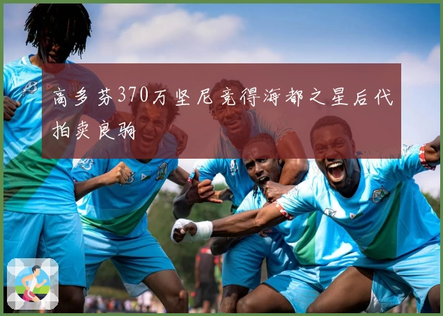高多芬370万坚尼竞得海都之星后代拍卖良驹