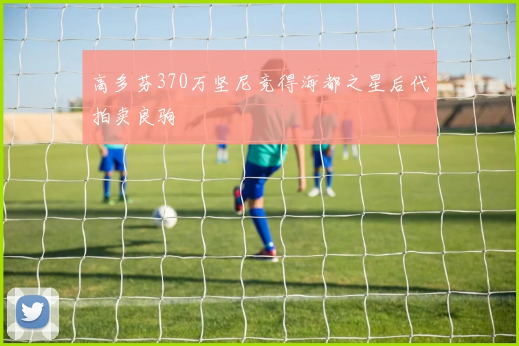 高多芬370万坚尼竞得海都之星后代拍卖良驹